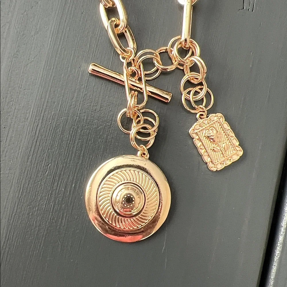 NWT Vici Lasso Love Charm Lariat Necklace - Picture 2 of 9